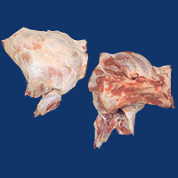 Shoulder 3D