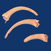 Tails