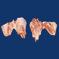 Shankmeat